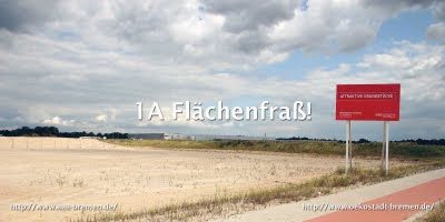 Front-1a-flaechen.jpg