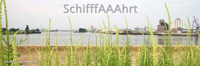 SchifffAAAhrt.jpg