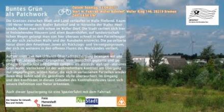 Back-natur-mischen-1-web.jpg