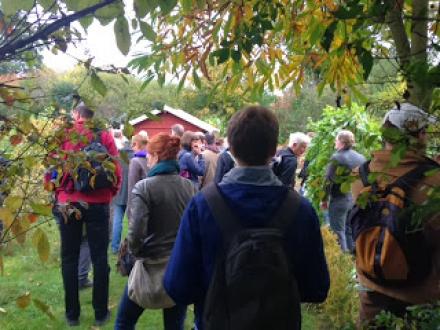 Resumée und Dokumentation 3/6 Urbaner Spaziergang „Grüne Hügel an der Grenze“ in der Reihe "Huckelriede abstempeln?!", Sonntag, den 23.06.2013