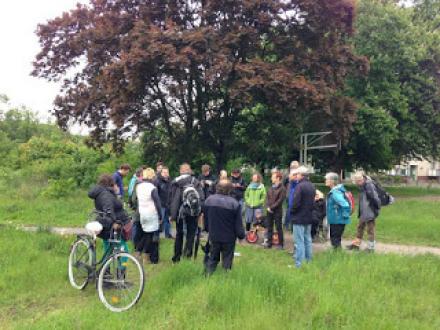 Foto33-web.jpg