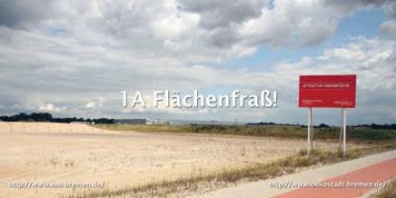 Front-1a-flaechen.jpg