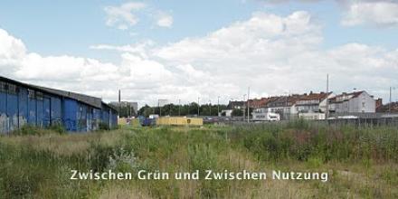 Front-zwischen-gruen-1-web.jpg