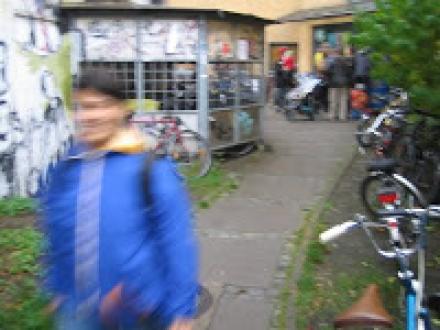 IMG-6651.JPG