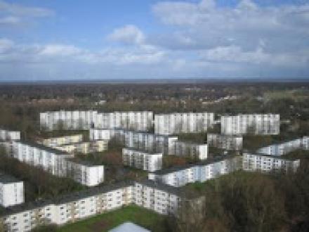 AAA trifft Alvar Aalto