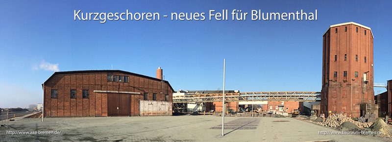 Kurzgeschoren 2014