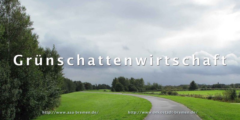 Grünschattenwirtschaft - Entdeckungsreise durch die civita incognita